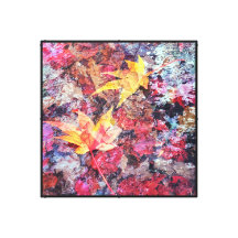 Feuilles d'érable rouge tombés sur l'eau