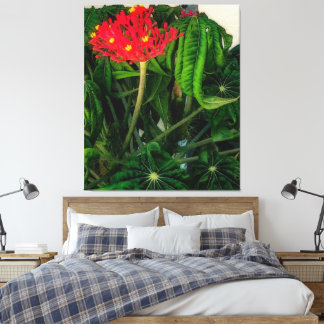 Toile Feuilles et fleurs Plantes de corail