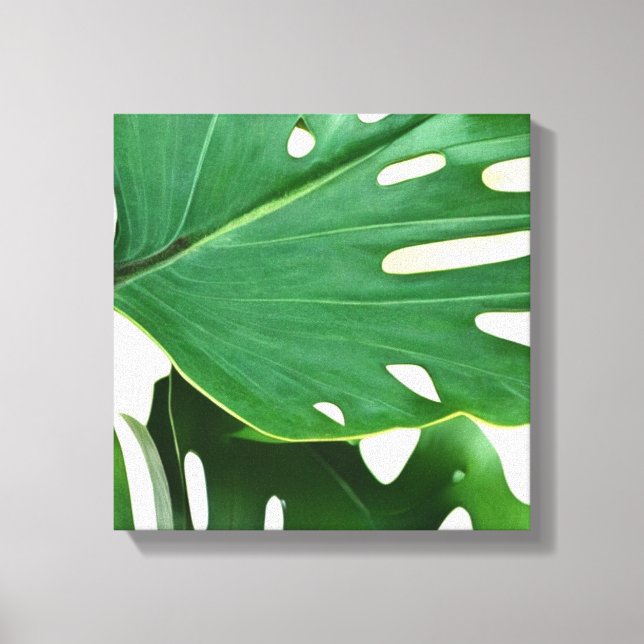 Toile Feuilles Monstera (Recto)
