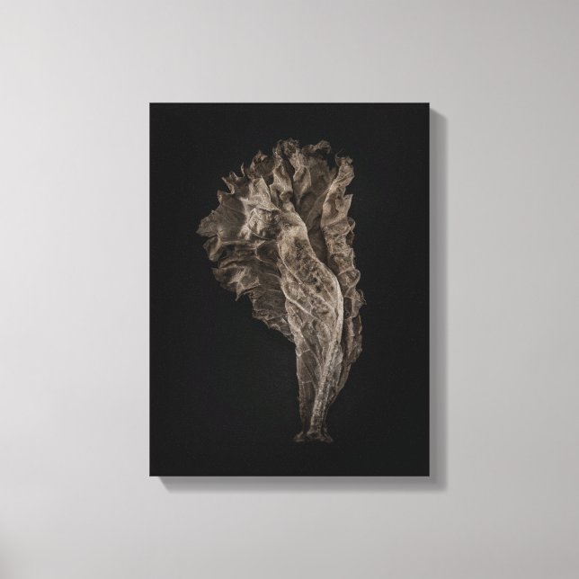 Toile Feuilles N° 8 Version Couleur (Recto)