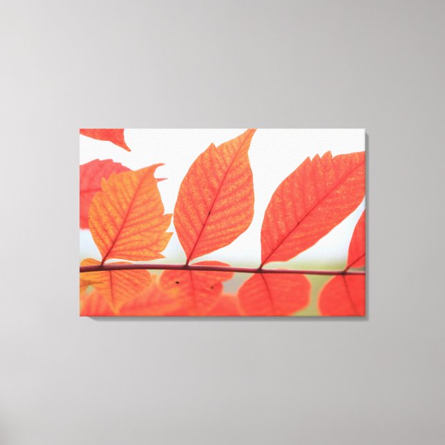 Toile Feuilles oranges d'automne (Recto)