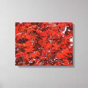 Toile Feuilles Red Maple