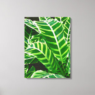 Toile Feuilles tropicaux, Plante zébrée, vert foncé