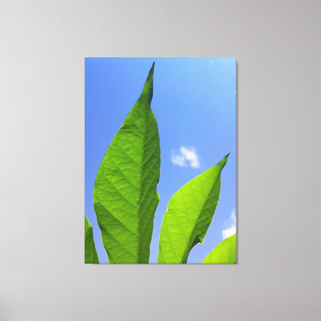 Toile Feuilles Vertes Touchant le Ciel (Recto)