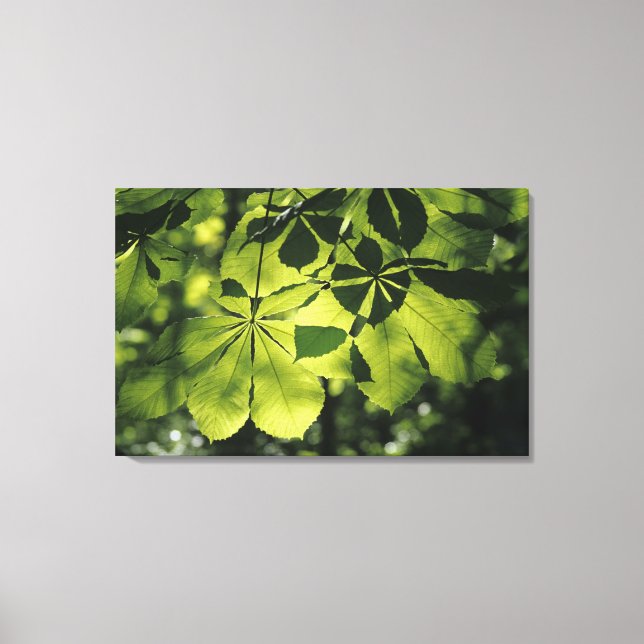 Toile Feuilles verts à sept points avec éclairage solair (Recto)