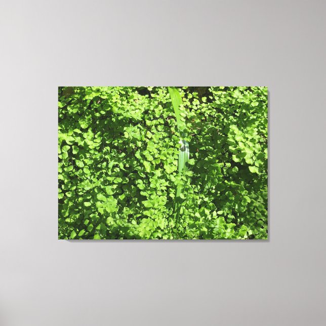 Toile Février Greens (Recto)