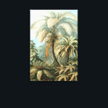 Toile Filicinae par Ernst Haeckel, plantes de fougères a<br><div class="desc">Illustration ancienne de la nature,  botanique par Ernst Haeckel présentant un design de forêt tropicale humide. Une variété de fougères exotiques dans une jungle. Les fougères sont des plantes vasculaires qui n'ont ni graines ni fleurs,  elles se reproduisent par spores.</div>
