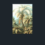 Toile Filicinae par Ernst Haeckel, plantes de fougères a<br><div class="desc">Illustration ancienne de la nature, botanique par Ernst Haeckel présentant un design de forêt tropicale humide. Une variété de fougères exotiques dans une jungle. Les fougères sont des plantes vasculaires qui n'ont ni graines ni fleurs, elles se reproduisent par spores.</div>
