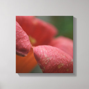 Toile Fin enveloppée de canvus vers le haut des fleurs