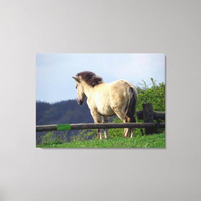 TOILE FJORD HORSE 2 (Recto)