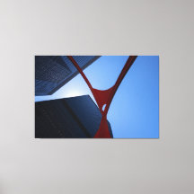 Flamant rose de Chicago