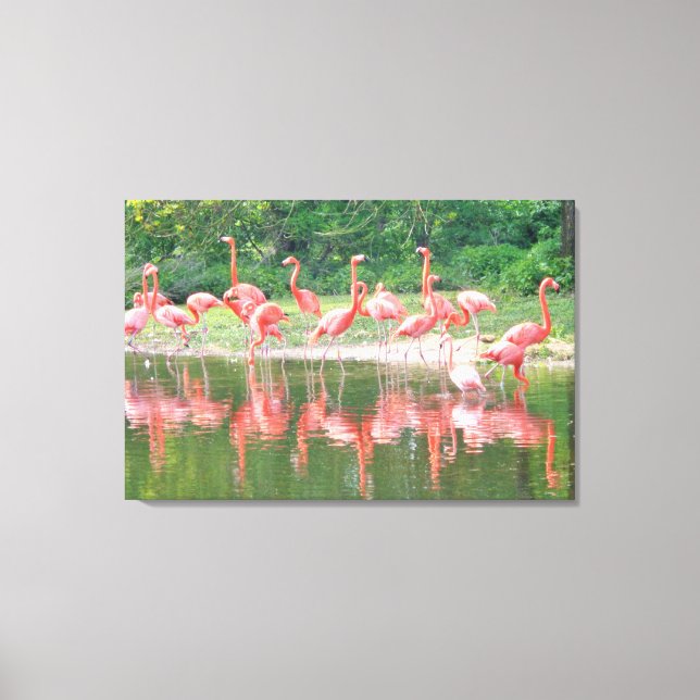 Toile Flamants roses en rang au lac, Faune Nature Birds (Recto)