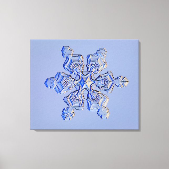 Toile Flèche de neige 3 (Recto)