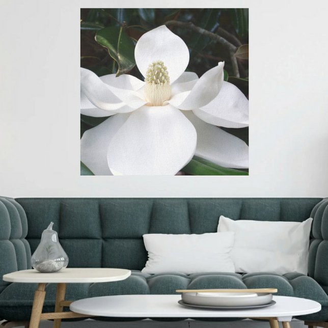 Toile Fleur blanche Magnolia Photographie Botanique (Créateur téléchargé)