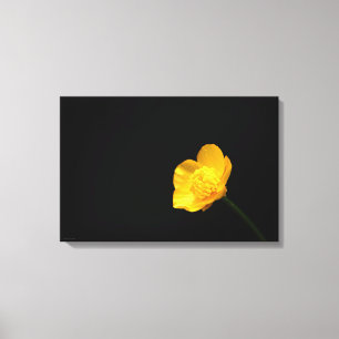 Toile Fleur Buttercup 24x16 (60x40cm) waccna