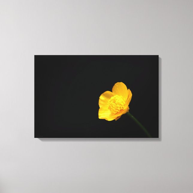 Toile Fleur Buttercup 24x16 (60x40cm) waccna (Recto)