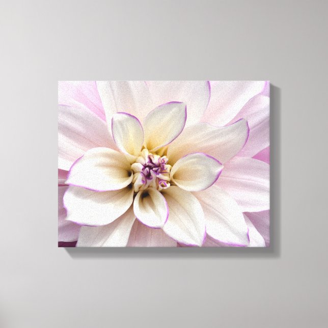 Toile Fleur dahlia violette et blanche (Recto)