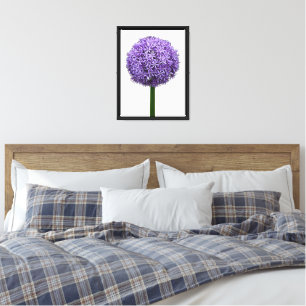 Toile Fleur d'Allium pourpre sur fond blanc
