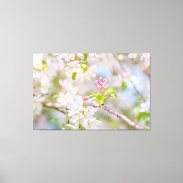 Toile Fleur d'Apple - Beauté (Recto)
