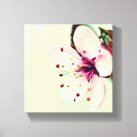 Fleur de cerise