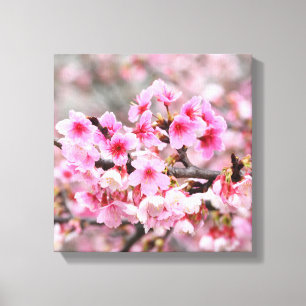 Toile Fleur de cerise Sakura japonais fleuri rose floral