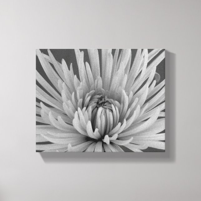 Toile Fleur de Chrysanthème Araignée Noir et Blanc (Recto)