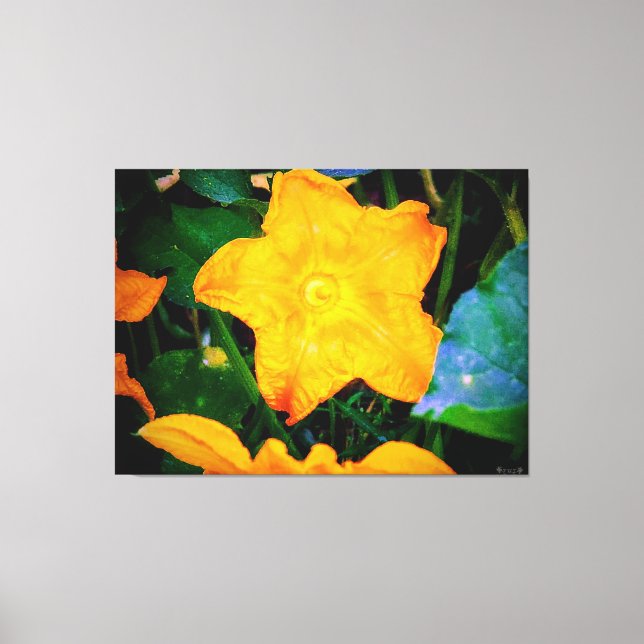 Toile Fleur de courgette jaune vibrant (Recto)