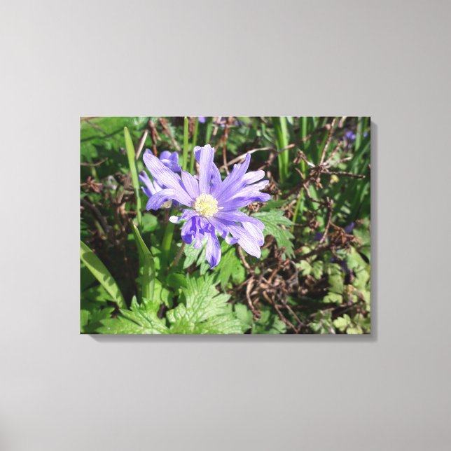Toile Fleur de jardin bleu (Recto)