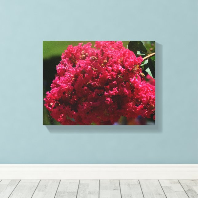 Toile fleur de lagerstroemia (Insitu (Plancher de Bois))