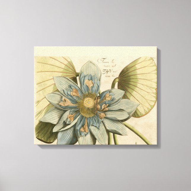 Toile Fleur de Lotus Bleu sur Arrière - plan Tan avec éc (Recto)