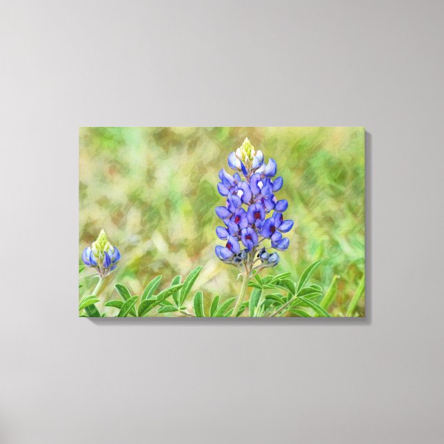 Toile Fleur de Lupin Bleu du Texas en Gros Plan (Recto)
