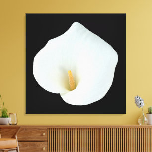 Toile Fleur de lys calla blanc Photo de jardin de cour a