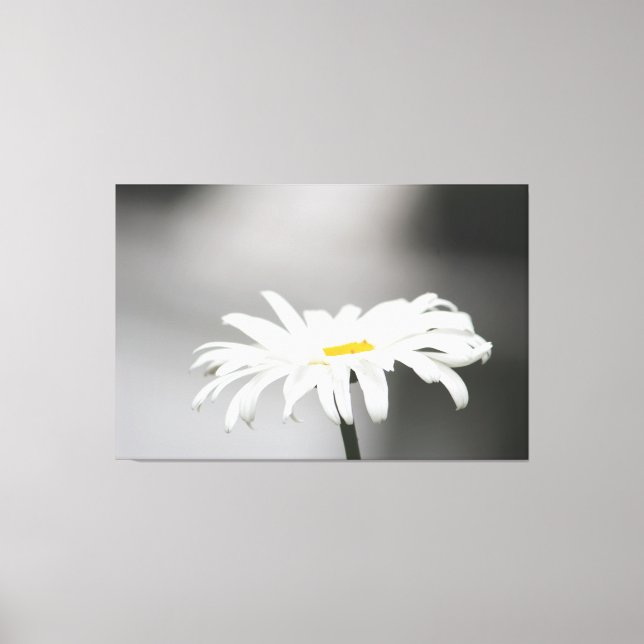 Toile Fleur de marmite blanche (Recto)