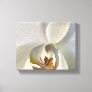 Toile Fleur de Orchidée Blanche