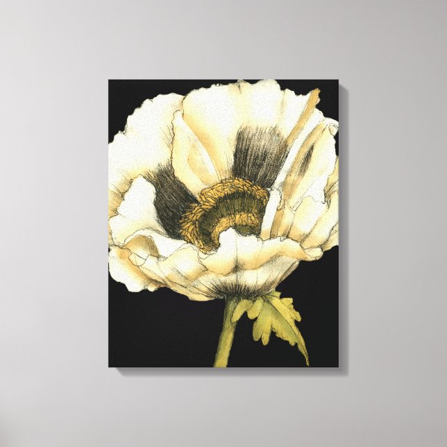 Toile Fleur de pavot à crème sur Arrière - plan noir (Recto)