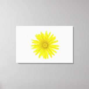 Toile Fleur de pissenlit (officinale de Taraxacum), un