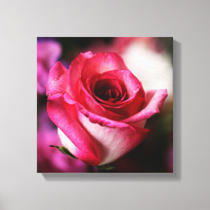 Toile Fleur de rose rose floral