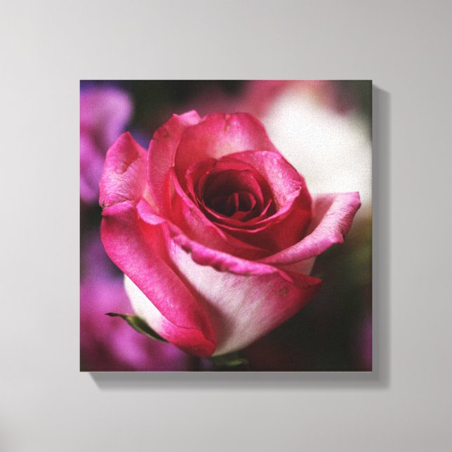 Toile Fleur de rose rose floral (Recto)