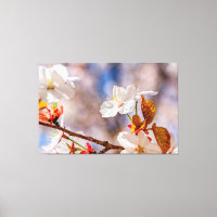 Fleur de Sakura blanche ensoleillée et feuilles or