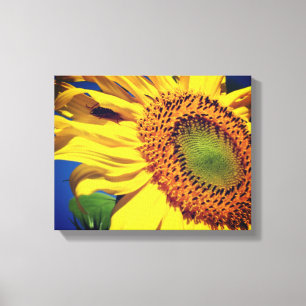 Toile Fleur De Soleil Jaune Géante Et Ami Des Insectes