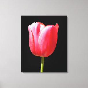 Toile Fleur de Tulipe Élégante