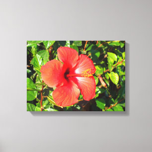 Toile Fleur d'Hibiscus
