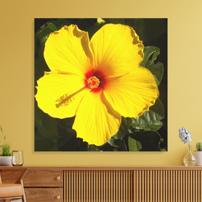 Toile Fleur d'Hibiscus Jaune (Insitu(Salon))