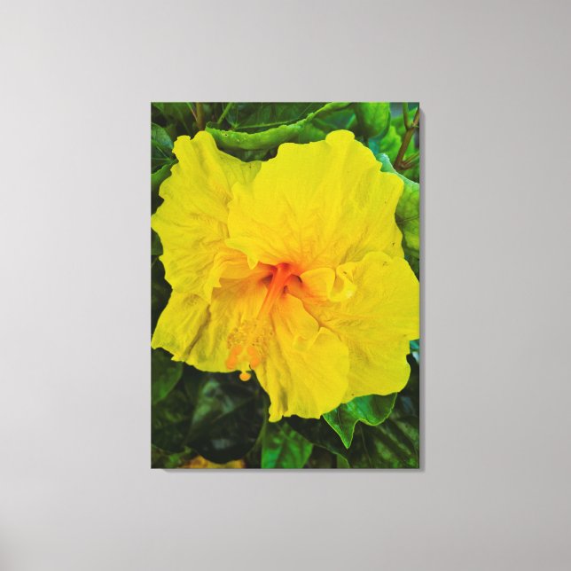 Toile Fleur d'Hibiscus Jaune Vibrant (Recto)