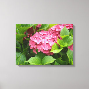 Toile Fleur d'hortensia rose foncé
