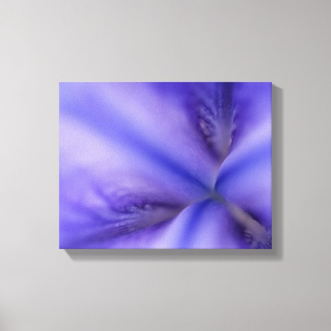 Toile Fleur d'Iris Pourpre en Gros Plan (Recto)