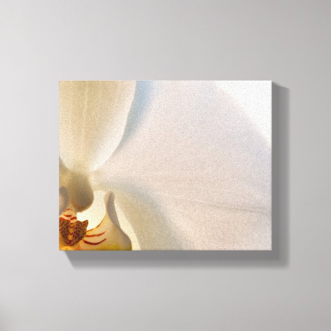 Toile Fleur d'orchidée blanche en gros plan (Recto)