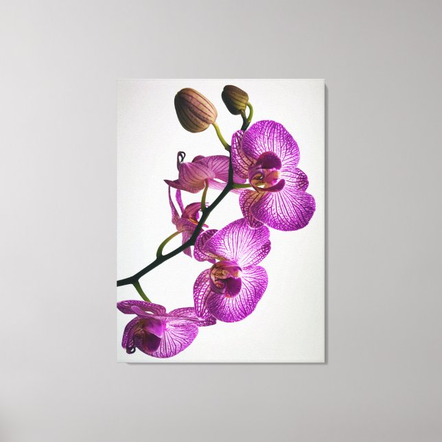 Toile Fleur d'orchidée pourpre (Recto)