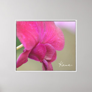 Toile Fleur d'orchidée rose Kauai (photographie prise pa