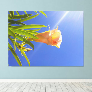 Toile Fleur Épanouie au Soleil Sous un Ciel Bleu Profond